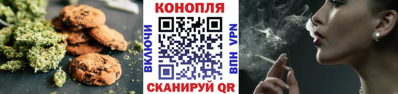купить   Урень  Canna-Cookies конопля 