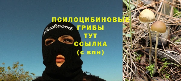 таблы Нефтегорск