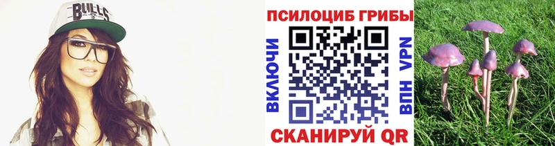 что такое   Урень  ОМГ ОМГ tor  Псилоцибиновые грибы мицелий 
